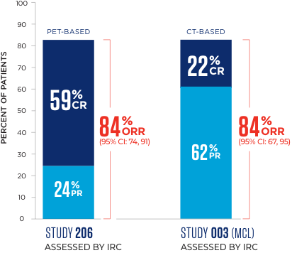 ORR data for Study 206 and Study 003