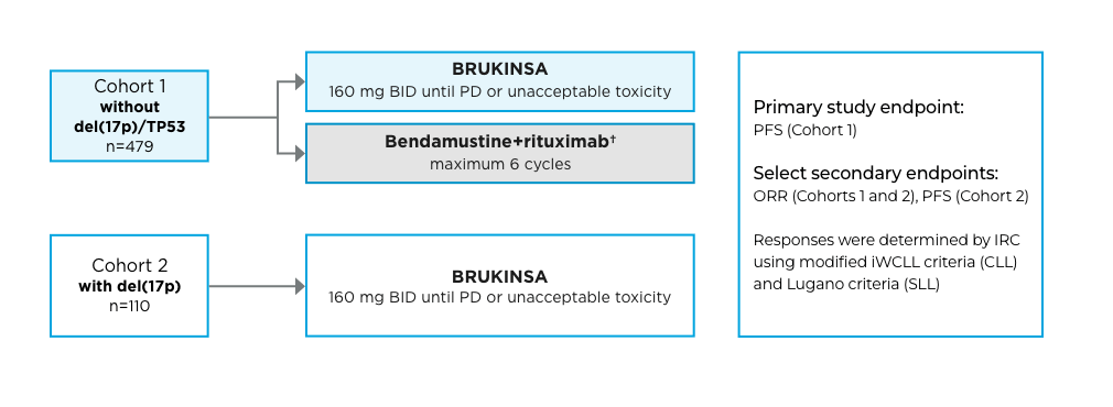 Study design from the SEQUOIA study of BRUKINSA® (zanubrutinib) for CLL