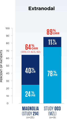 ORR data for the extranodal MZL subtype