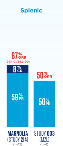 ORR data for the splenic MZL subtype
